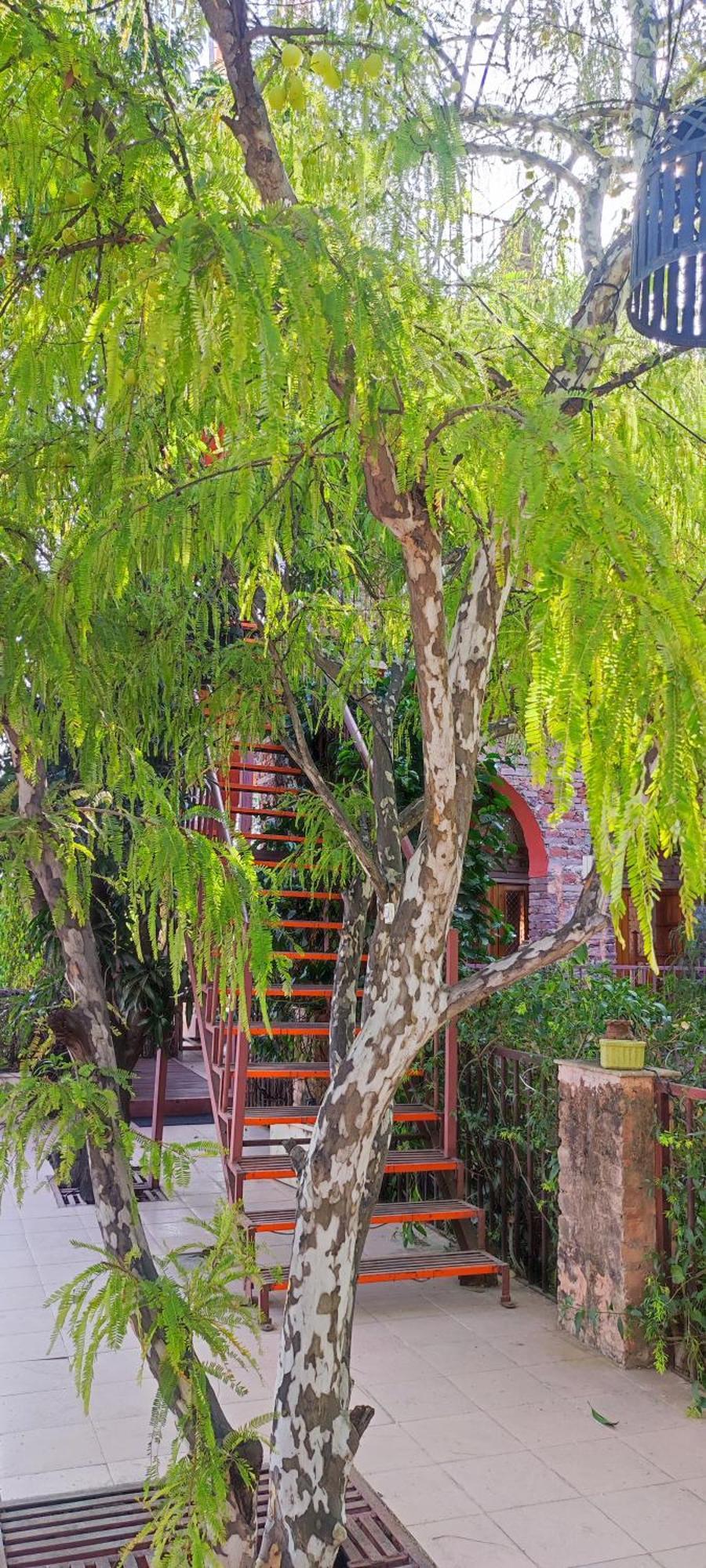 The Secret Garden Pushkar Exterior foto
