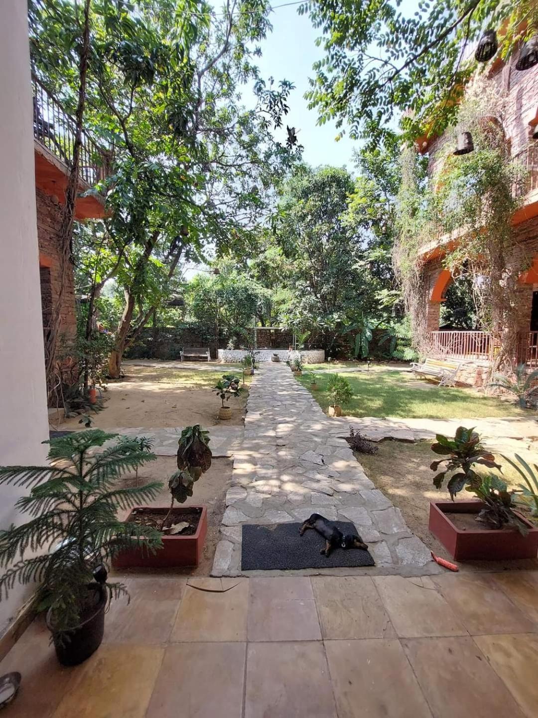 The Secret Garden Pushkar Exterior foto